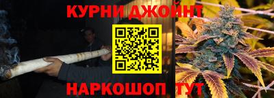 spice Моздок