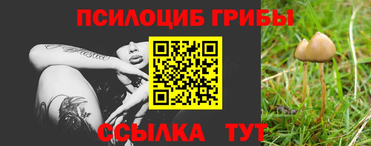 Галлюциногенные грибы Magic Shrooms Шебекино